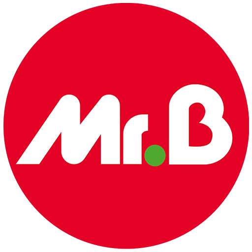 Logo Mr.Bricolage – référence conférence Catherine Testa